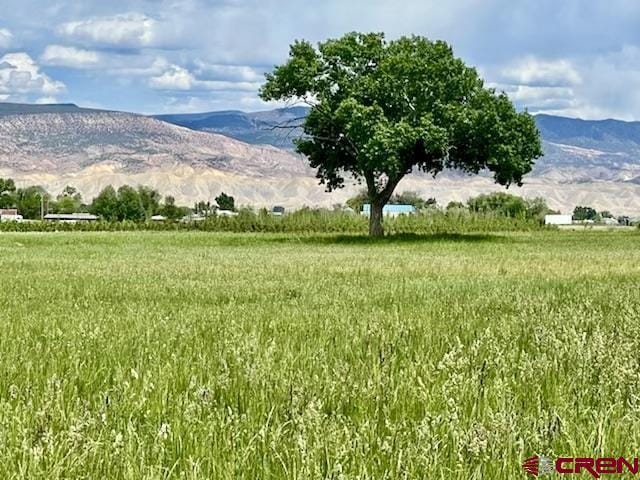 60092 Falcon Rd, Montrose CO, 81425 land for sale