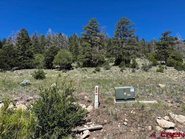 Listing photo 2 for 0LOT33 Little Bear Cir, South Fork CO 81154