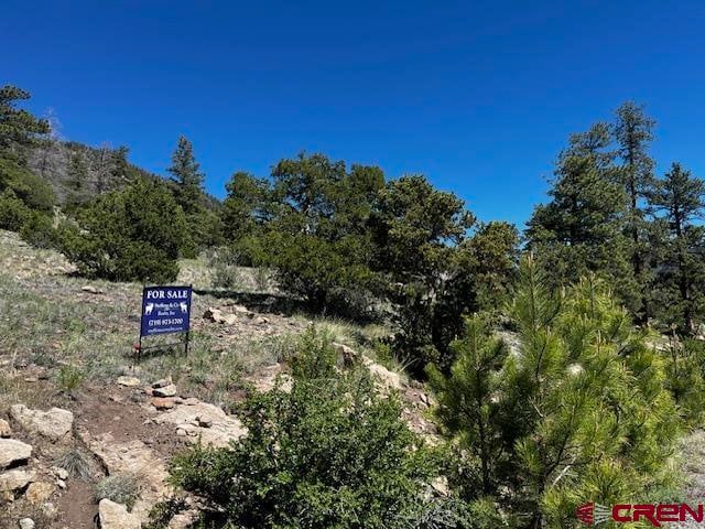 Listing photo 3 for 0LOT33 Little Bear Cir, South Fork CO 81154