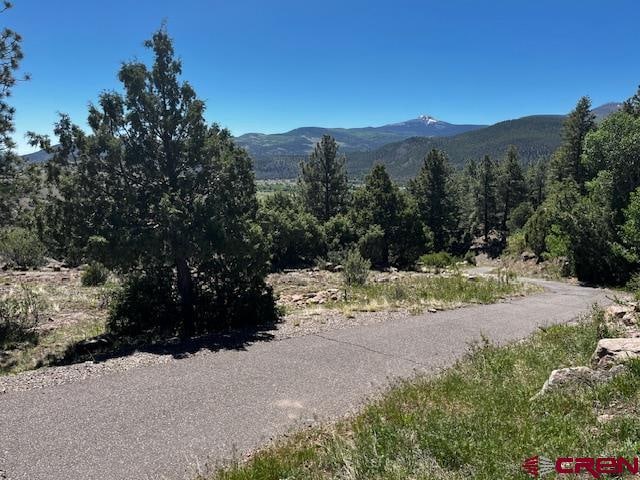 0 Ellingwood Dr, South Fork CO, 81154 land for sale