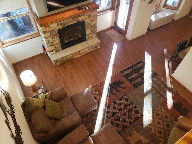 living room with a stone fireplace and hardwood / wood-style flooring