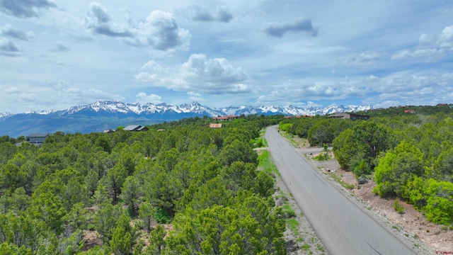 Listing photo 2 for TBD- Pine Dr, Ridgway CO 81432