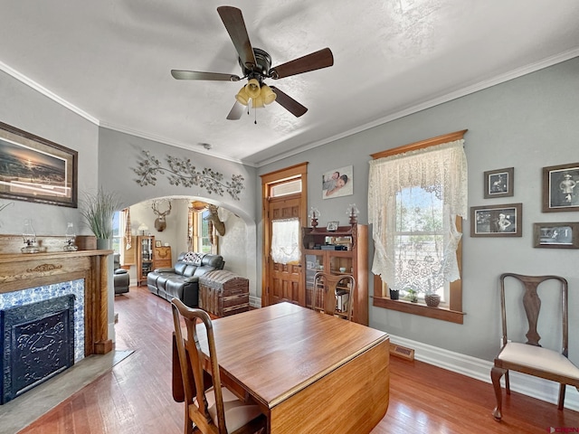 dining area featuring a wealth of natural light, ceiling fan, light hardwood / wood-style flooring, and ornamental molding