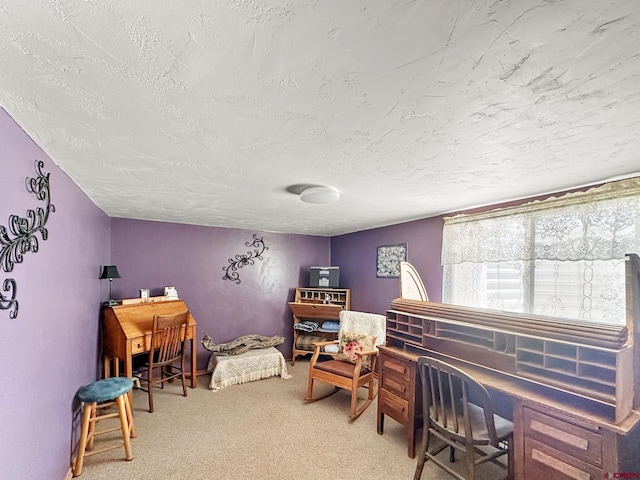 carpeted office space with a textured ceiling