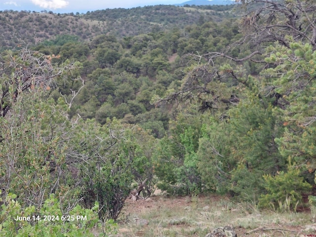 TBD Pinon Hills Rd, South Fork CO, 81154 land for sale