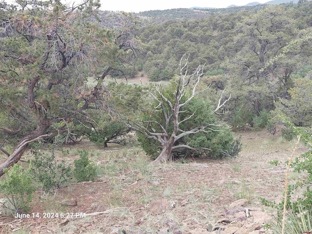 Listing photo 3 for TBD Pinon Hills Rd, South Fork CO 81154