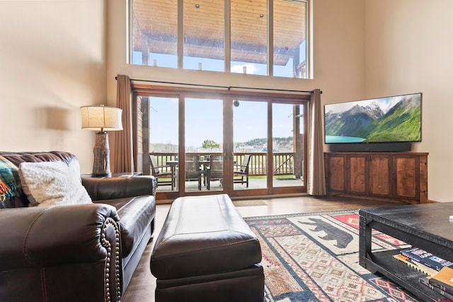 living room with a high ceiling and hardwood / wood-style flooring