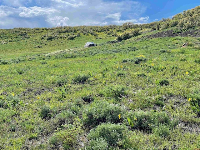 Lot8 Road M.5, Dolores, CO 81323