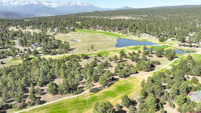 1749 Marmot Dr, Ridgway CO, 81432 land for sale