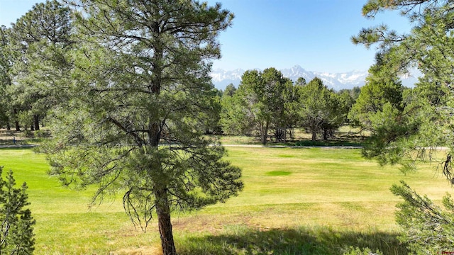 Listing photo 2 for 1749 Marmot Dr, Ridgway CO 81432