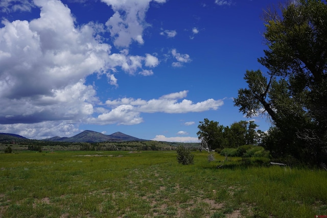 1690 River Island Dr, South Fork CO, 81154 land for sale