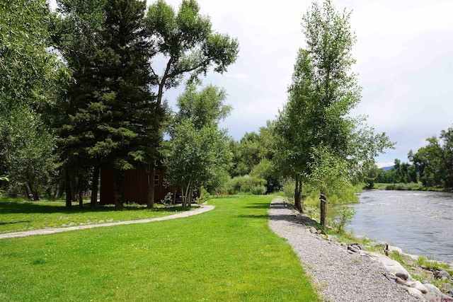 1690 River Island Dr, South Fork, CO 81154