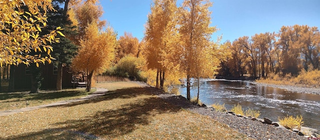 1690 River Island Dr, South Fork, CO 81154