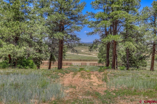 view of local wilderness with a rural view