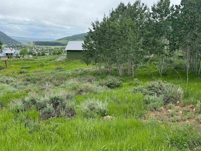 711 Zeligman, Crested Butte CO, 81224 land for sale