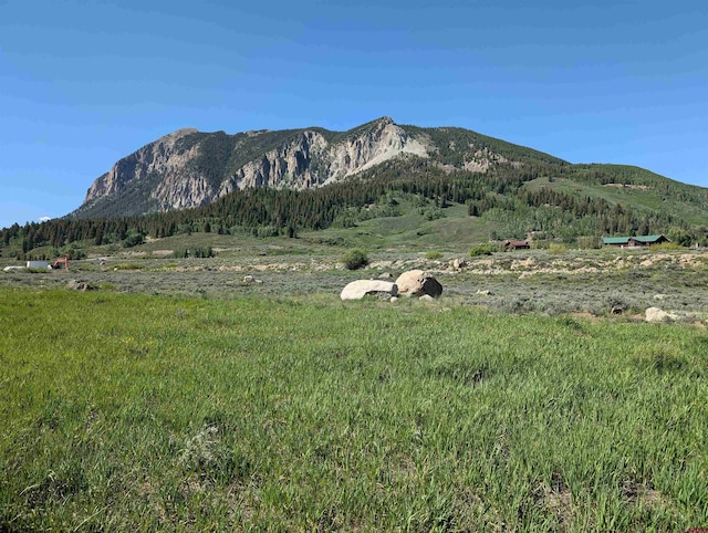 333 S Avion Dr, Crested Butte CO, 81224 land for sale