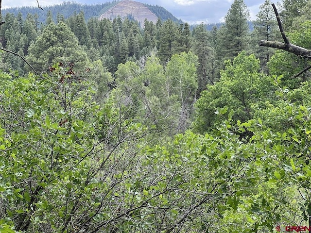 152 Hawthorne Dr, Pagosa Springs CO, 81147 land for sale