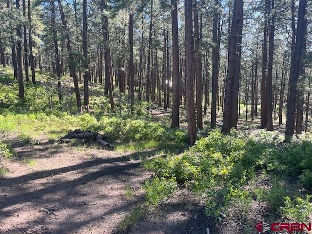 2221 Bear Creek Rd, Bayfield, CO 81122