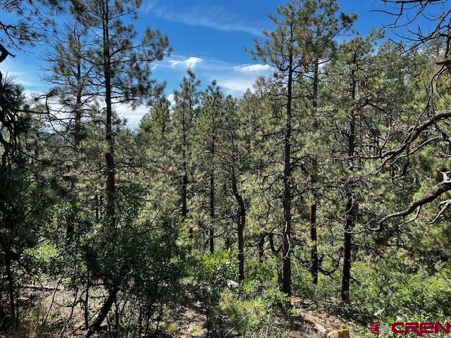 2221 Bear Creek Rd, Bayfield, CO 81122