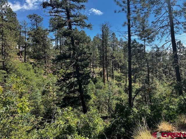 2221 Bear Creek Rd, Bayfield, CO 81122