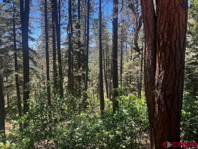 2221 Bear Creek Rd, Bayfield, CO 81122