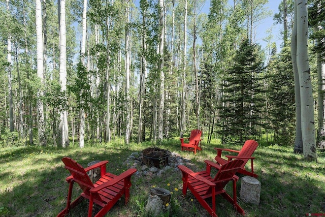 47 High Noon Ln, Telluride, CO 81435 - view of yard with a fire pit