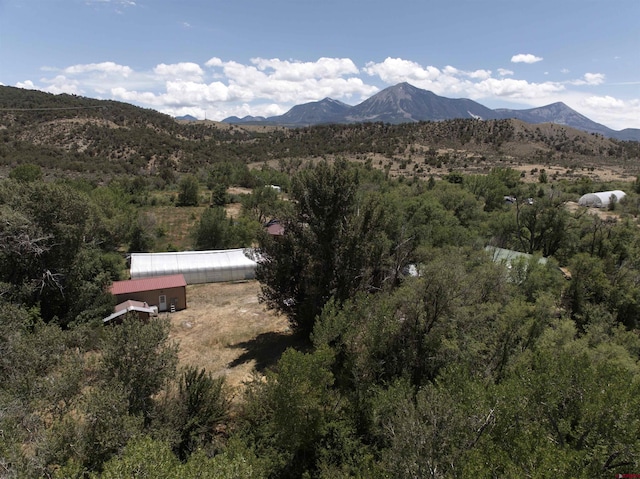 view of mountain feature