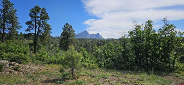 X Running Horse, Pagosa Springs CO, 81147 land for sale