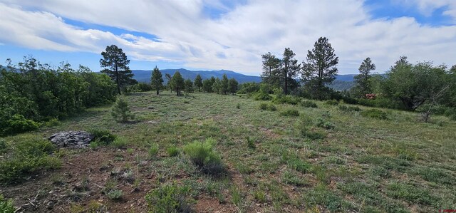 Listing photo 2 for X Running Horse, Pagosa Springs CO 81147