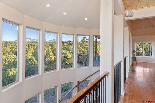 corridor featuring a wealth of natural light, a mountain view, and hardwood / wood-style flooring