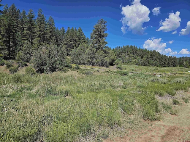 90 Badger Pl, Pagosa Springs, CO 81147