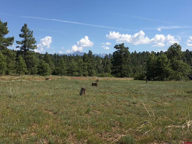 102 Eldorado St, Pagosa Springs CO, 81147 land for sale