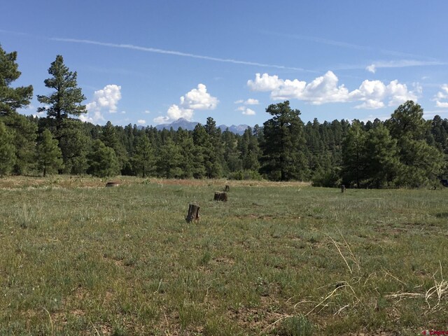 102 Eldorado St, Pagosa Springs, CO 81147