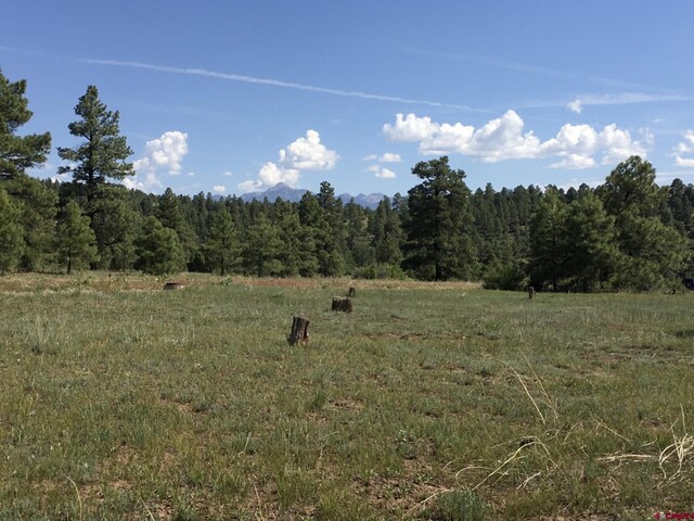 102 Eldorado St, Pagosa Springs CO, 81147 land for sale