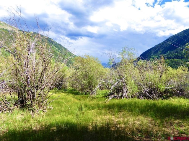 7TH Bluff St, Silverton, CO 81433