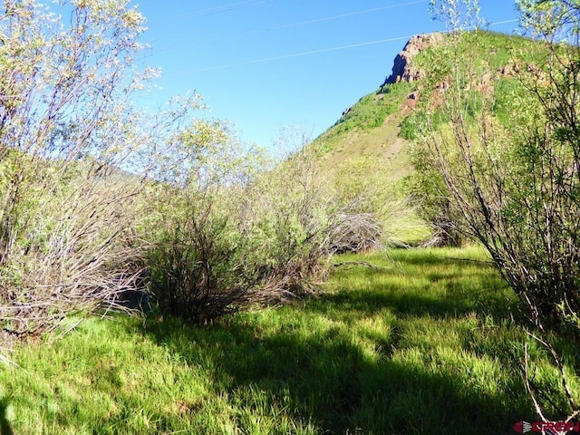 7TH Bluff St, Silverton, CO 81433