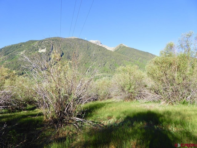 7TH Bluff St, Silverton, CO 81433