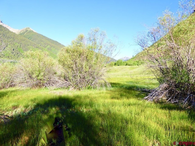 7TH Bluff St, Silverton, CO 81433