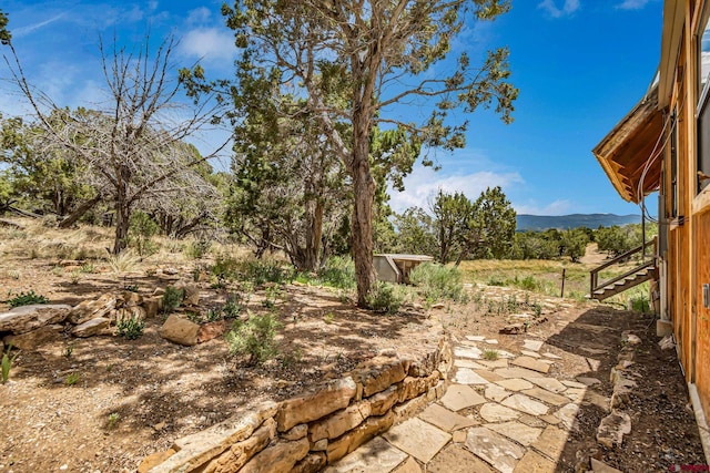 view of yard featuring a mountain view