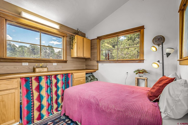 bedroom featuring vaulted ceiling