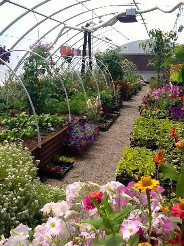 view of yard featuring a vegetable garden