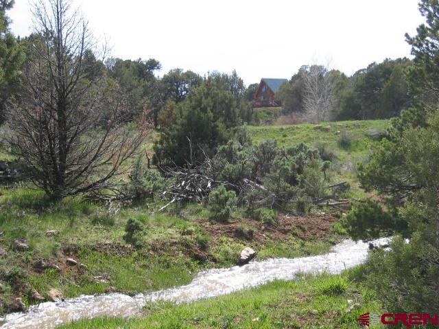 view of local wilderness