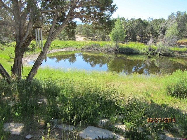 property view of water