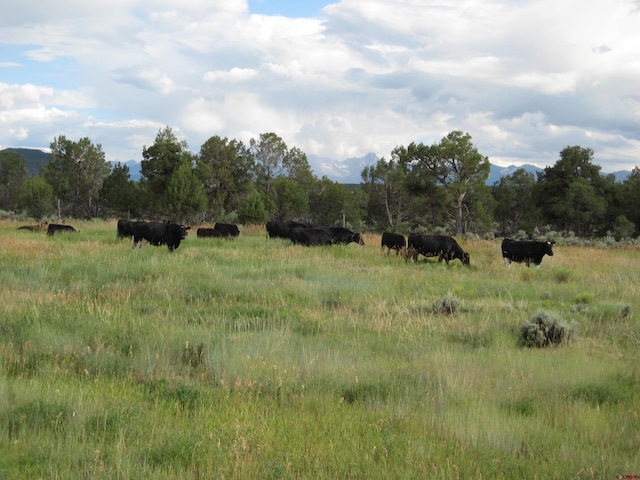 view of local wilderness featuring a rural view