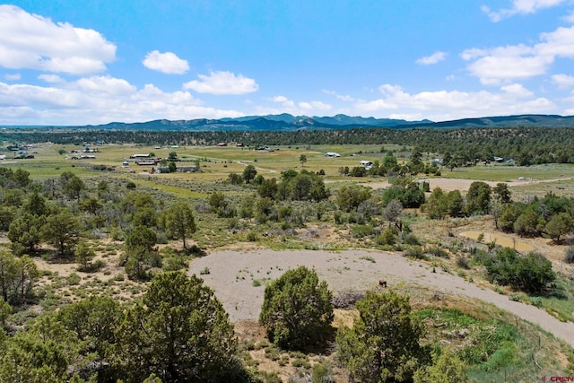 bird's eye view featuring a mountain view