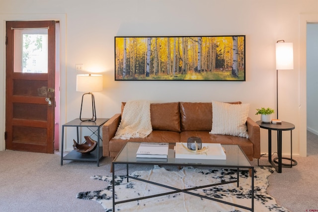 living room featuring carpet floors