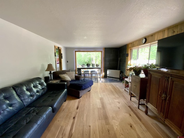 living area with a healthy amount of sunlight, light wood-style floors, and a textured ceiling