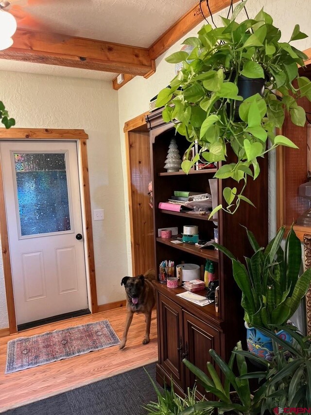 foyer entrance featuring dark wood-type flooring and beam ceiling