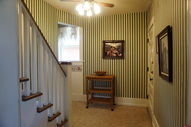 staircase with carpet and ceiling fan