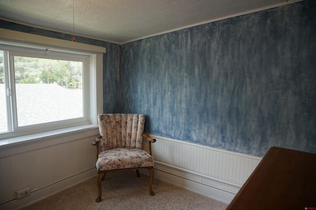 living area featuring carpet and a textured ceiling